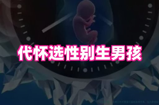 乐乐助孕网 1
