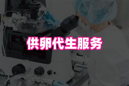 乐乐助孕网 2