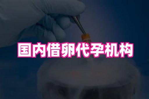 乐乐助孕网 3